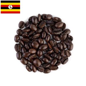 قیمت قهوه روبوستا اوگاندا